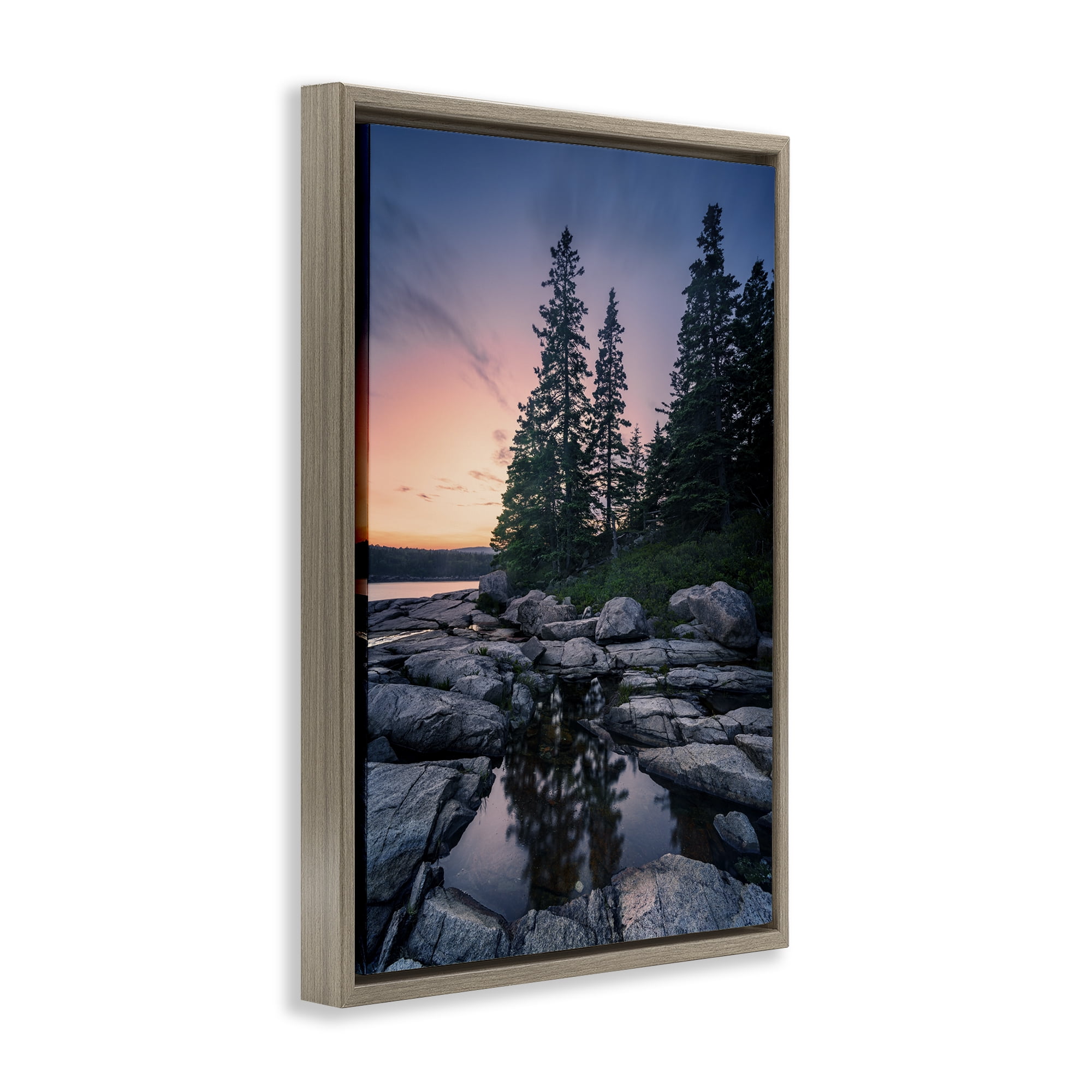 Stupell Industries Trees Reflected in Tide Pool Landscape & Nature Photography Brown Floater Framed Canvas Art Print Wall Art, 17 x 25