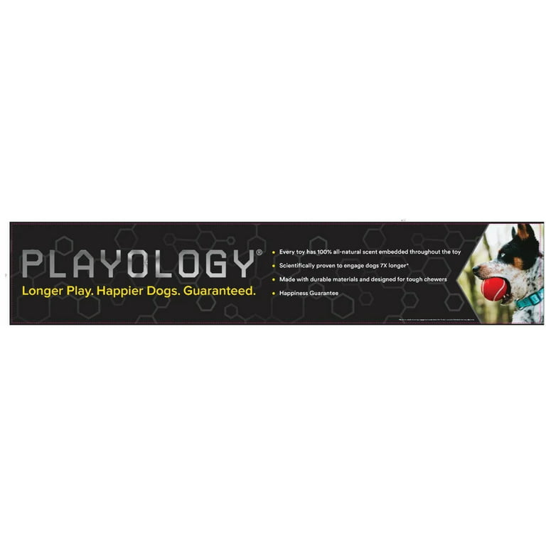 Playology Plush Herding Beef Ball Dog Toy, Small