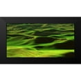 thumbnail image 2 of Leahy, Ike 18x11 Black Modern Framed Museum Art Print Titled - Palouse Green, 2 of 5