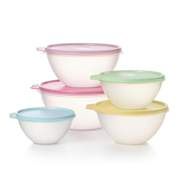 Juego de 10 piezas de recipientes para alimentos Tupperware Wonderlier