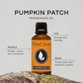 thumbnail image 2 of Aceite aromático Eternal Essence Oils Pumpkin Patch 30 ml, 2 of 6