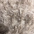 thumbnail image 1 of Soft Fluffy Area Rug, Washable Silk-Wool PV Fleece, Non-Slip, Family and pet Friendly Living Room Rug (Khaki,20×32 inch), 1 of 1
