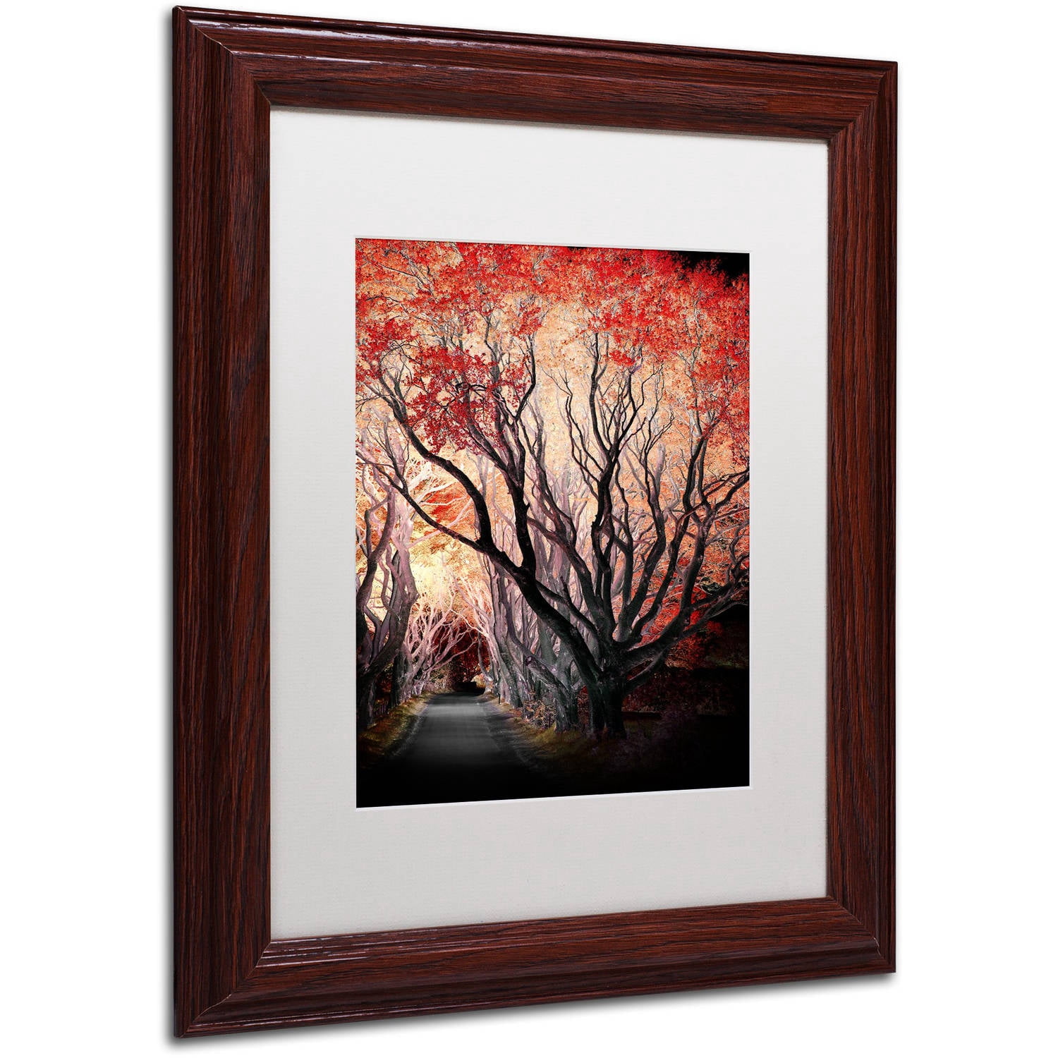 Trademark Fine Art "Powerful One" Canvas Art by Philippe Sainte-Laudy, White Matte, Wood Frame
