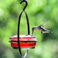 thumbnail image 2 of Comedero para Colibríes, Hermoso Comedero Colgante para Pájaros con de Metal Circular y Botella de Metal. Comedero para Colibríes, 2 of 6