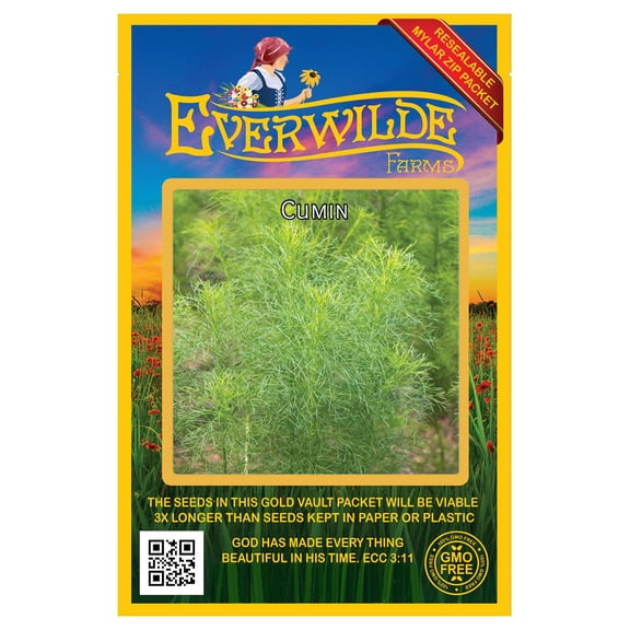 Everwilde Farms 1000 Cumin Herb Plant Seeds, Heirloom