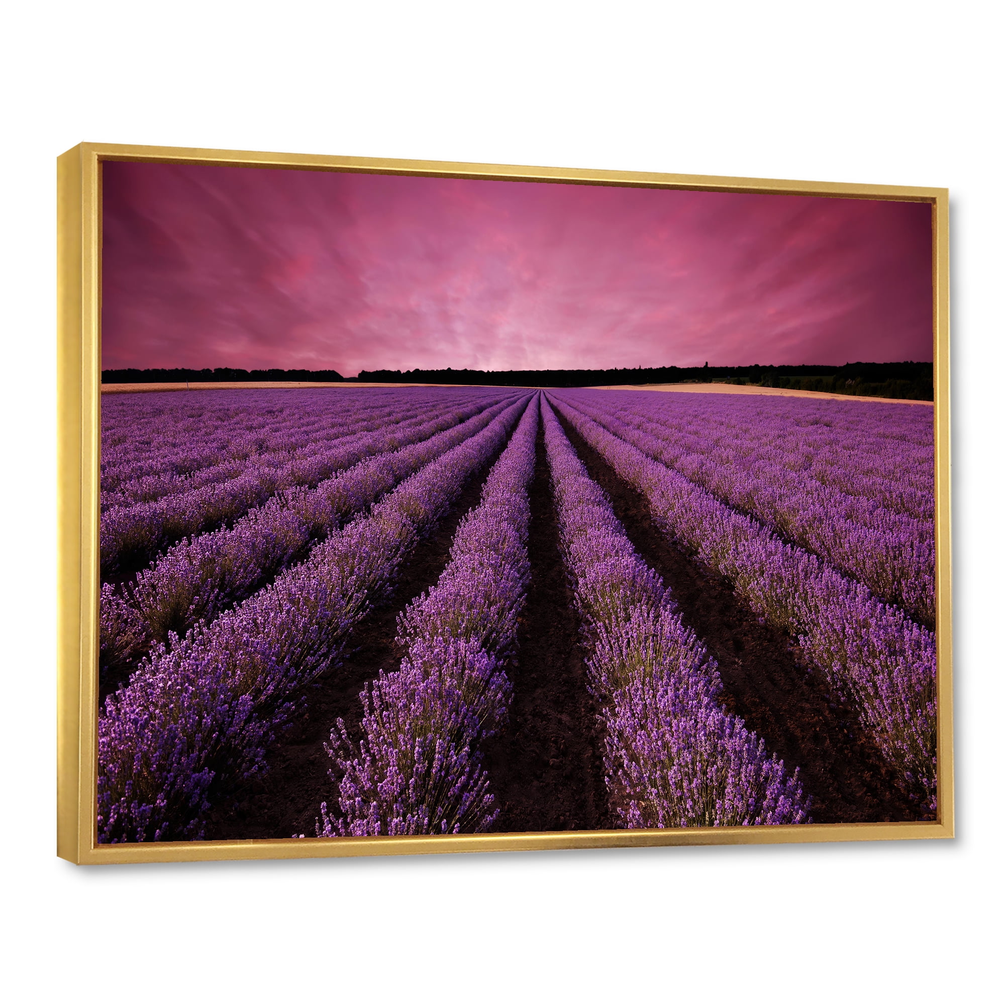 Designart 'Dramatic Clouds and Sunrise Over Lavender Field XI' Farmhouse Framed Canvas Wall Art Print