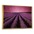 thumbnail image 3 of Designart 'Dramatic Clouds and Sunrise Over Lavender Field XI' Farmhouse Framed Canvas Wall Art Print, 3 of 5