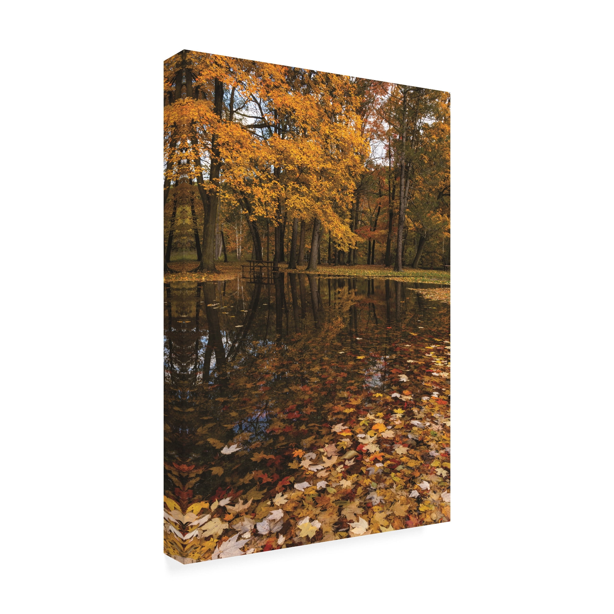 Trademark Fine Art 'Autumn picnic flooded' Canvas Art by Kurt Shaffer Photographs