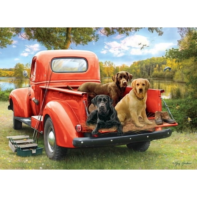 Cobble Hill 1000 Piece Puzzle - Fishing Friends - Sample Poster Included