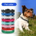 thumbnail image 2 of Vibrant Pet Collar - High Stability and Decorating - Bright Colors - Collars for Small Dogs and Kittens, 2 of 8