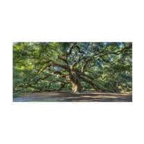 Trademark Fine Art Pierre Leclerc Angel Oak Charleston Canvas Wall Art - 24x47