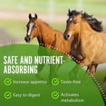 thumbnail image 4 of NutraVital - Biotic for Horses, Must-Have Horse Supplies, Pre- & Probiotic Horse Powder, Horse Supplements for Digestive Health & Immune System Support, Probios for Horses, 750 g, 4 of 7