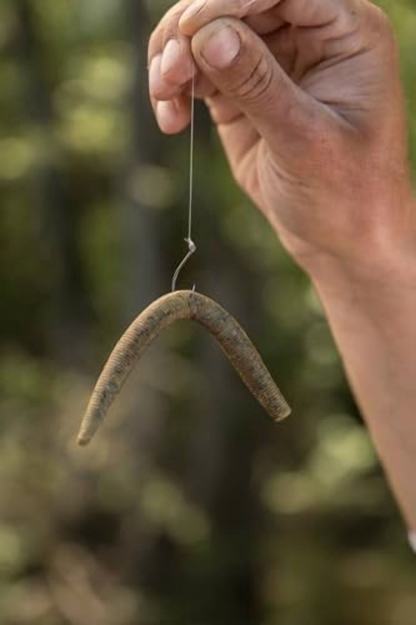 Berkley PowerBait® MaxScent The General Fishing Bait, Baby Bass, 4in | 10cm, Soft Stick Bait with Irresistible Scent & Flavor, Classic Stick Bait Action, Deadly Bass Fishing Bait