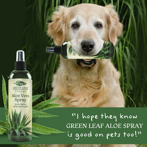 can i use aloe vera gel on my dogs skin