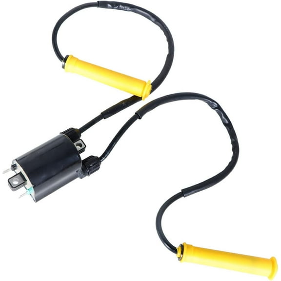 labwork Ignition Coil and Wire Cap Replacement for Honda VTX1300 30510-MM8-003 30510-MCC-003 2004-2009