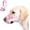 Pink, variant on Dog Muzzle with Escape-Proof Elastic Neck Collar, Soft Breathable Air Mesh Mouth Cover Stops Biting Barking Chewing Allows Drinking Panting, Adjustable Muzzle for Small Medium Large Dogs