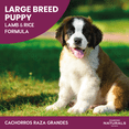 thumbnail image 2 of Combo Diamond Naturals Large Breed Puppy Lamb & Rice Formula 2.72 Kg MAS Dos Latas Royal Canin Adult, 2 of 5