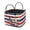 250 Years America, variant on Bulopur Ladybug Print Quilted Laundry Basket for Bedroom Collapsible Storage Basket with Handles and Pocket Portable Laundry Hamper for Bedroom Bathroom