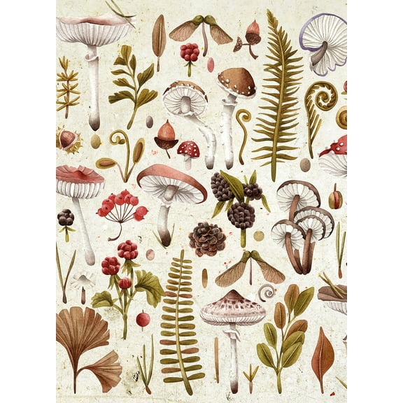 Mushrooms 1000-Piece Puzzle, (Hardcover)