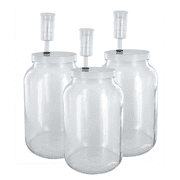 Home Brew Ohio One Gallon Glass Complete Wide Mouth Fermenter Set of 3