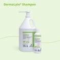 thumbnail image 4 of Champú Dermalyte Dermalyte, 355 ml, hidratante totalmente natural, 4 of 7