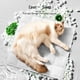 thumbnail image 5 of Campana Para Cocina Soft Ice Mat For Human And Pet, Cool Cushions, Pet Cushions , Office Cushion. Contains No Less Than Of Liquid（100ML）, 5 of 8