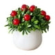 thumbnail image 2 of Artificial Plant Pot, Small Potted Decoration, Living Room Countertops Windowsills, Desktop Greenery, Home Decor, Artificial Plants for Home, Realistic Touch, Stylized Design, High Traffic Plants,, 2 of 8