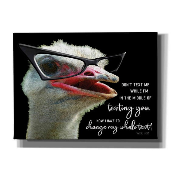 Epic Graffiti 'Ostrich Don't Text Me' by Cindy Jacobs, Canvas Wall Art, 54"x40"