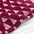 thumbnail image 3 of Beautyrest Plush to Sherpa Heated Throw, 3 of 3