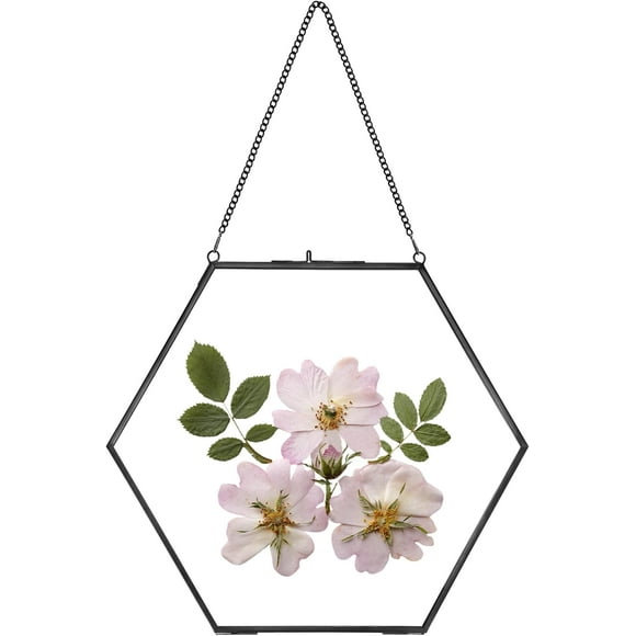 shiyou-Handmade Glass Frame for Pressed Flowers, Double Glass Brass Floating Frame, Wall Hanging Round Picture, Frame for Dried Flowers Poster Home Wall Decor, Hexagon, Black,Height 10 inches