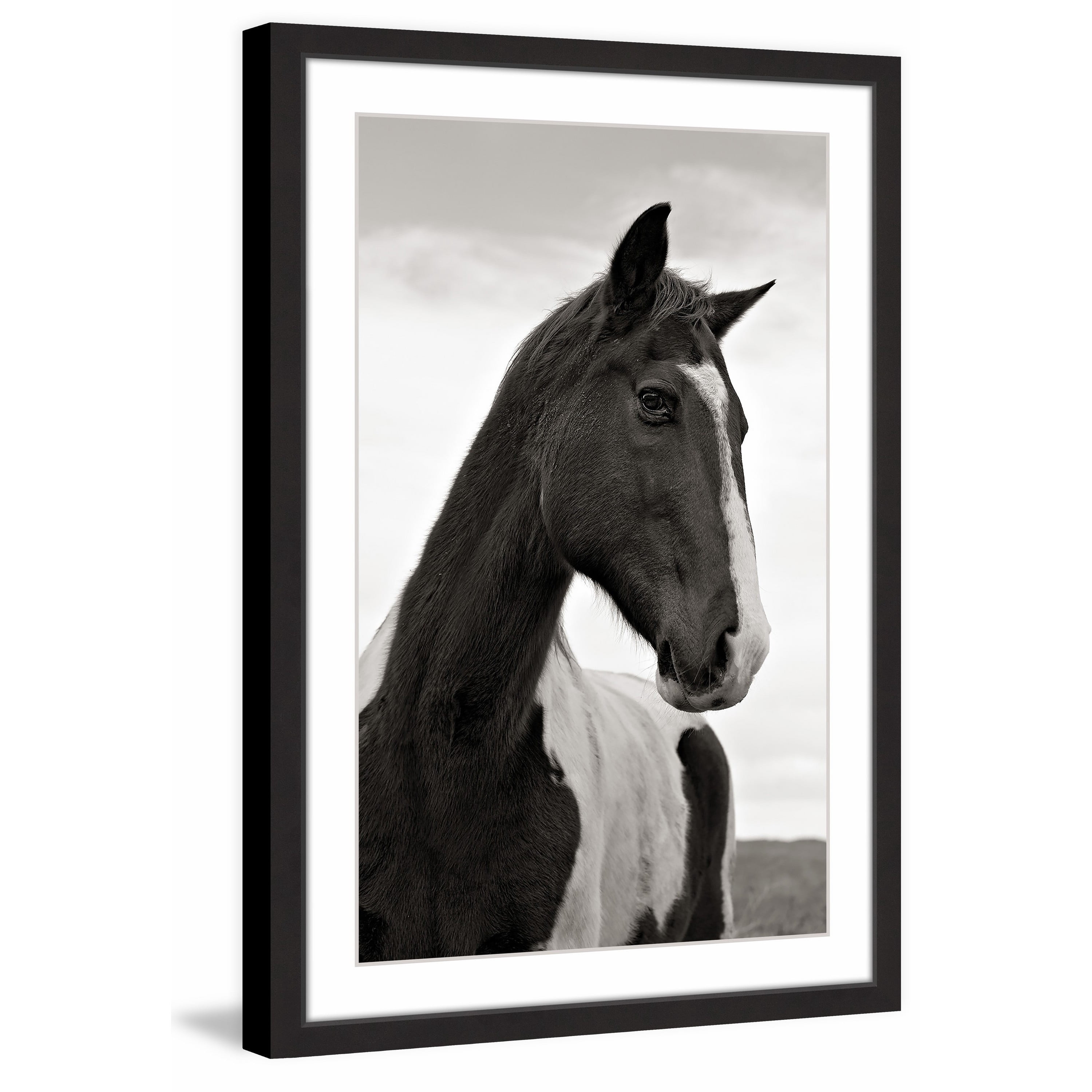 "Ranch Horse Wisdom" Framed Painting Print