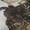 Putty, variant on Addison Rugs Mayfield Premium Machine Washable Transitional Animal Putty Rectangle Rug, 10' x 14'