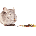 thumbnail image 2 of Alimento Premium Plus para Chinchillas Sunny con Alfalfa 750gr, 2 of 4