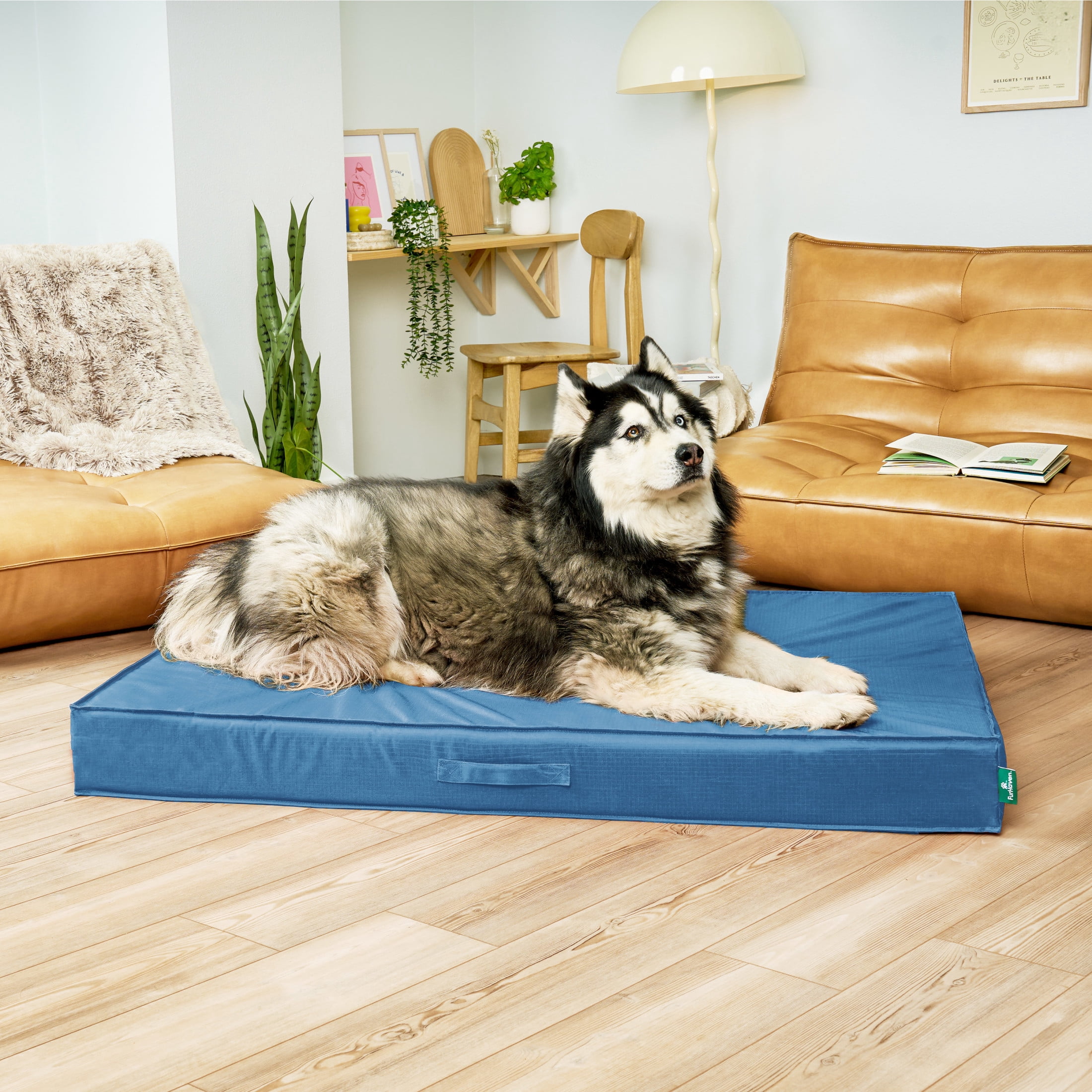 FurHaven Jumbo Plus Orthopedic Dog Bed – Indoor/Outdoor Water-Resistant Mattress Pet Bed, Removable Washable Cover, Capri Blue