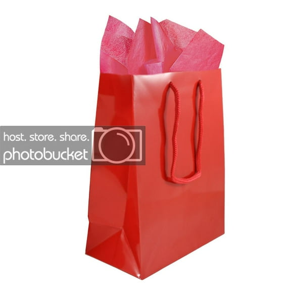 JAM Gift Bag Assortment, 2 red Bags & Fuchsia Pink Tissue Paper, 3/Pack