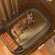 thumbnail image 5 of Accessories Cleaning Cat Litter Box Products Tray Stuff Training Kit Toilet Shop Rabbit Commodes Kedi Tuvaleti Pet Furniture ShopWise Round, 5 of 15