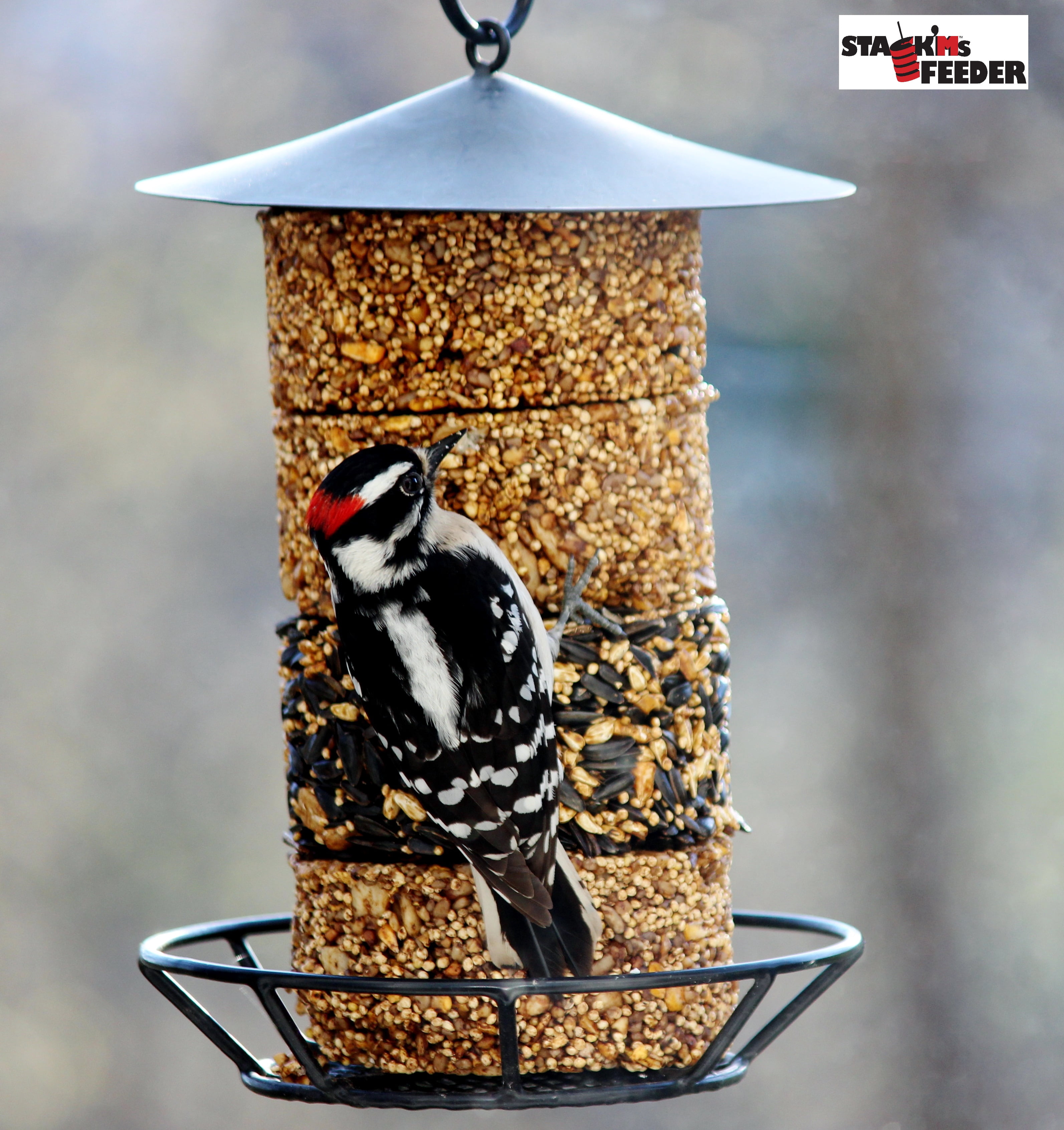 Stack Ms Seed Cake Bird Feeder For All Types Of Wild Outdoor