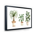 thumbnail image 3 of Designart 'Trio of House Plants Ficus Ponytail and Palm' Traditional Framed Canvas Wall Art Print, 3 of 5