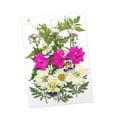 thumbnail image 2 of Flores prensadas secas, manualidades DIY para álbumes de recortes, Kits de hojas secas para decoración de uñas, manualidades, marcapáginas, pantallas rojo, 2 of 8