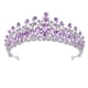 thumbnail image 1 of Corona de boda para mujer, aleación de Zinc, exquisitos diamantes de imitación, corona de novia, accesorios para el cabello para fiesta de disfraces de graduación, plateado y morado, 1 of 10