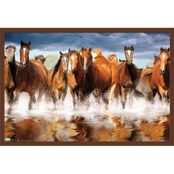Horses Wall Poster, 22.375" x 34", Framed