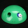 thumbnail image 4 of Juguete Para Gatos Con Forma De Cúpula, Dispositivo Para Rascar Gatos Con Base Antideslizante, Para Ejercicios Interactivos Para Gatos Y Gatitos ANGGREK No, 4 of 7