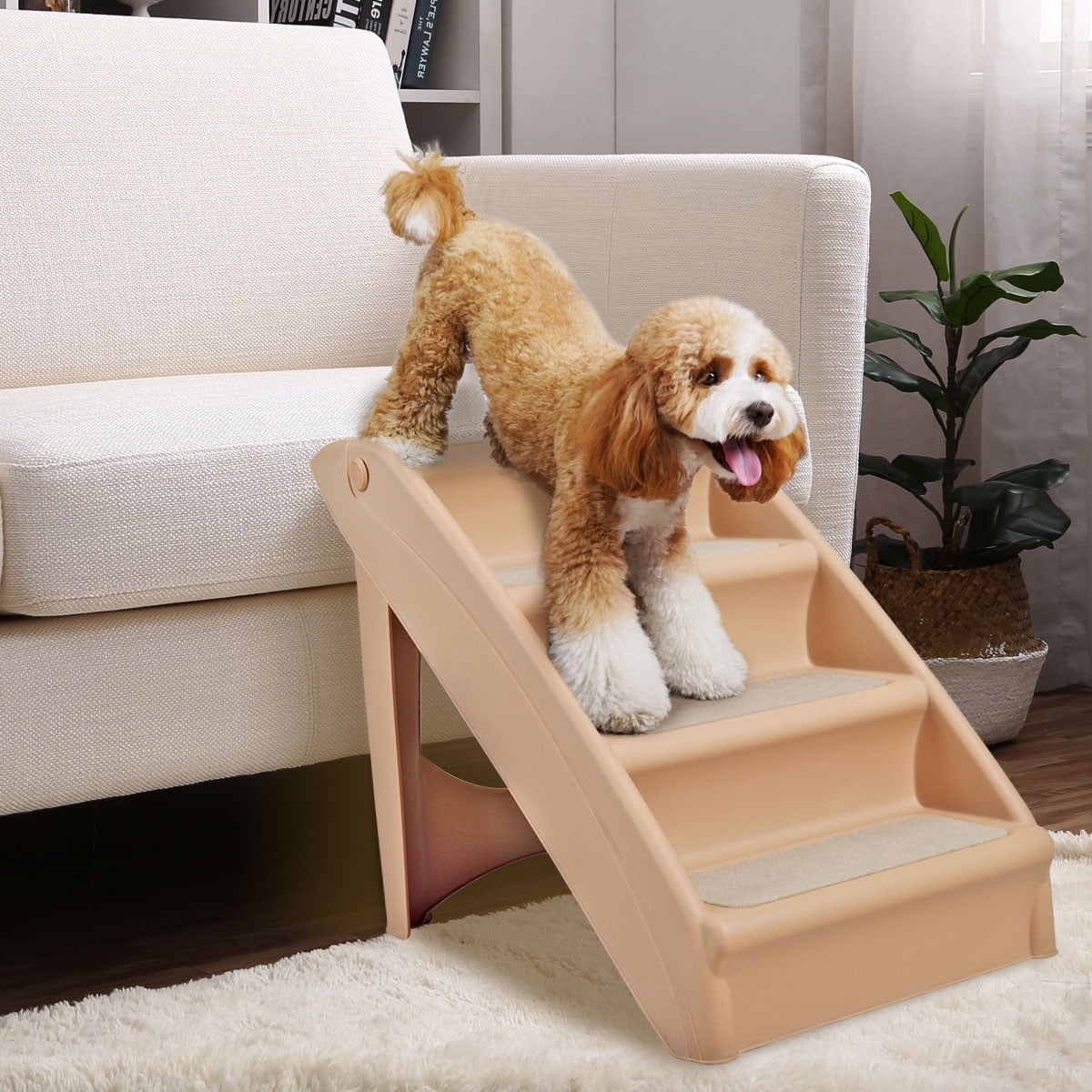 indoor dog ramp
