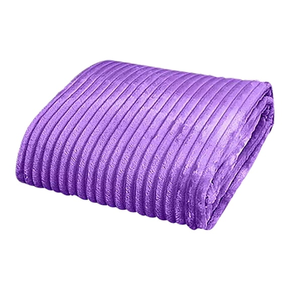 Coral Velvet Cloud Mink Velvet Small Blanket Thickened Faraish Velvet Air Conditioning Blanket Bed Sheet Polyester Blanket,Purple,Canvas
