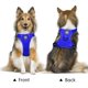 thumbnail image 3 of Arnés para perros PoyPet, reflectante, suave y transpirable, malla azul M, 3 of 7