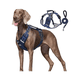 thumbnail image 2 of Pechera Arnés De Seguridad Para Perro talla S Malubero AZUL MARINO, 2 of 5