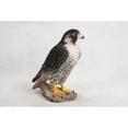 thumbnail image 3 of Hi-Line Gift 10.25 in Peregrine Falcon Garden Statue, Life-like Polyresin Decor, 3 of 5