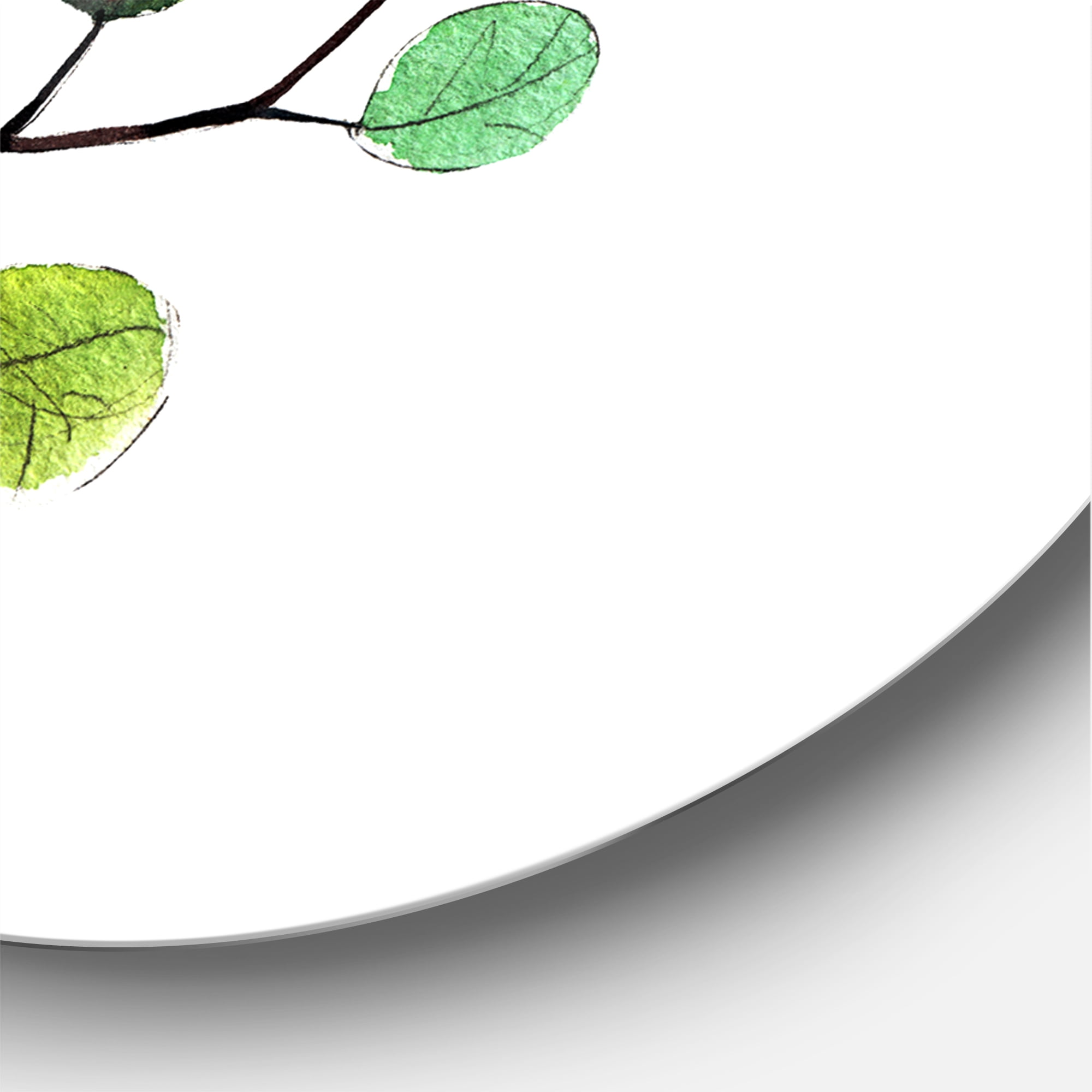 Designart 'Young Eucalyptus Branches and Leaves IV' Traditional Circle Metal Wall Art 23x23 - Disc of 23