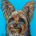 thumbnail image 2 of Vitaletti, Carolee 20x20 White Modern Wood Framed Museum Art Print Titled - Yorkie on Blue, 2 of 4