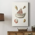 thumbnail image 5 of Pastel Knorr Shells VII Premium Gallery Wrapped Canvas - Ready to Hang, 5 of 9